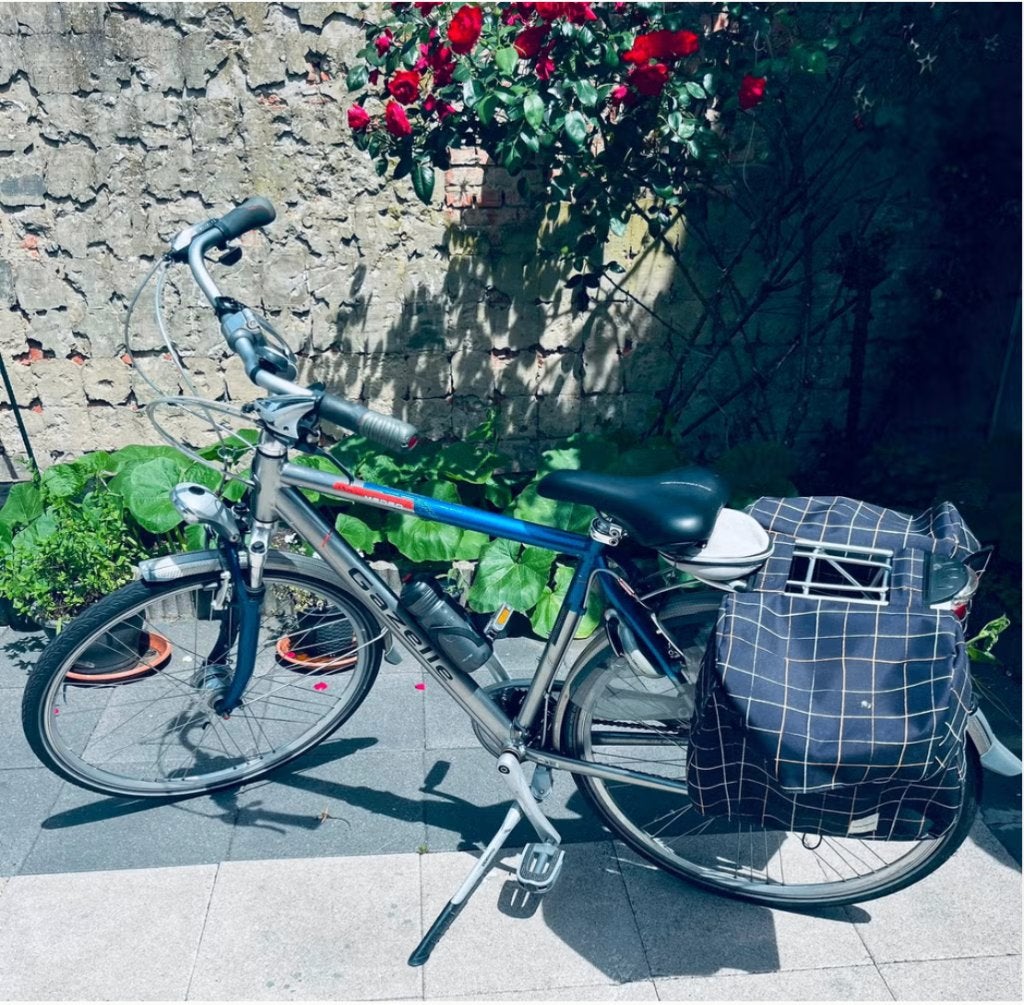 herenfiets, Fietsen en Brommers, Ophalen, Gebruikt, Versnellingen, 49 tot 53 cm