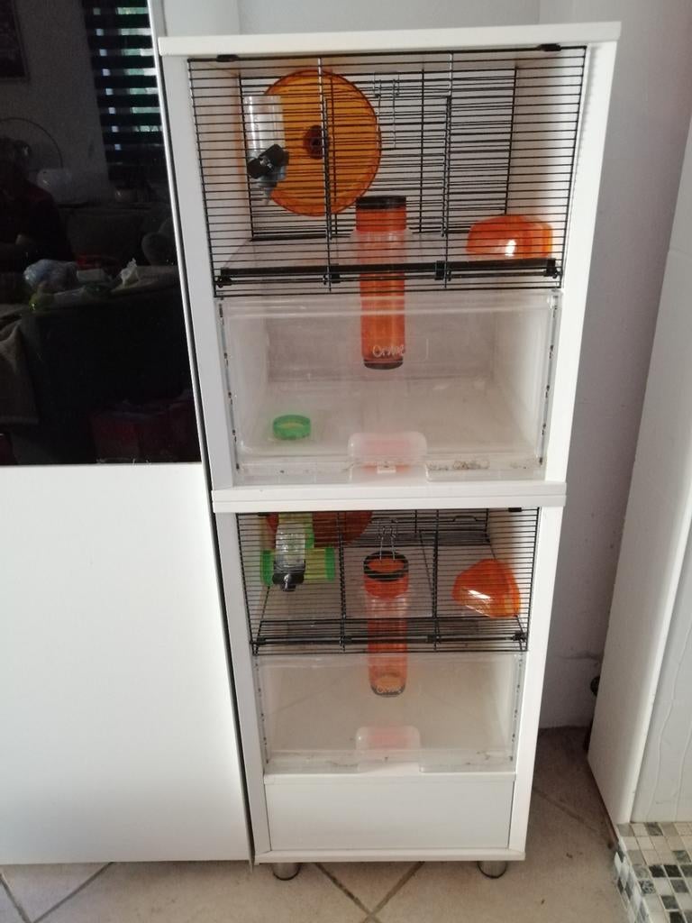 Dubbele hamsterkooi omlet, Dieren en Toebehoren, Ophalen