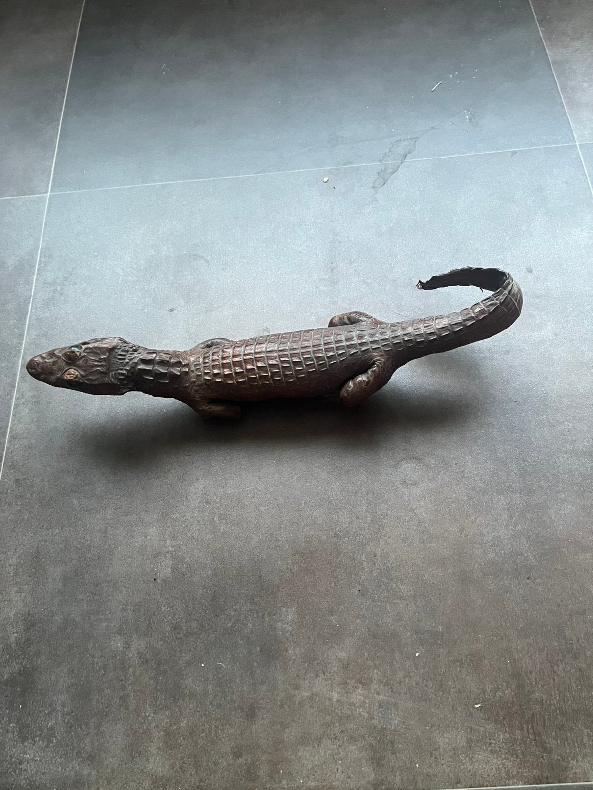 Kleine krokodil, Overige soorten, Tam, 11 jaar of ouder