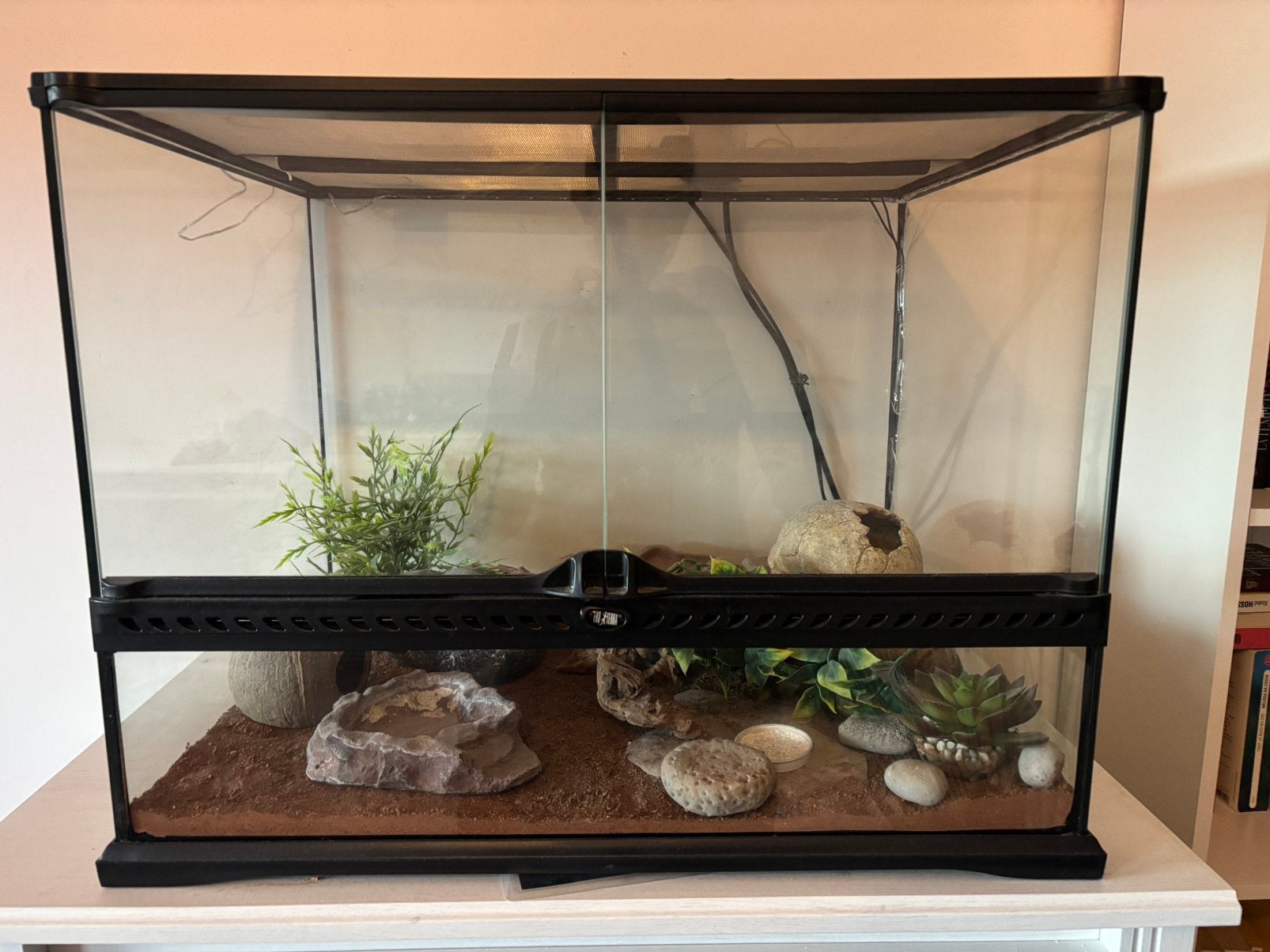 Terrarium Exo Terra 60x45x45 complet avec accessoires, Animaux & Accessoires, Enlèvement, Comme neuf