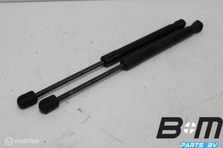 Set gasdrukveren motorkap Audi A6 4G Avant 4G8823359A, Gebruikt