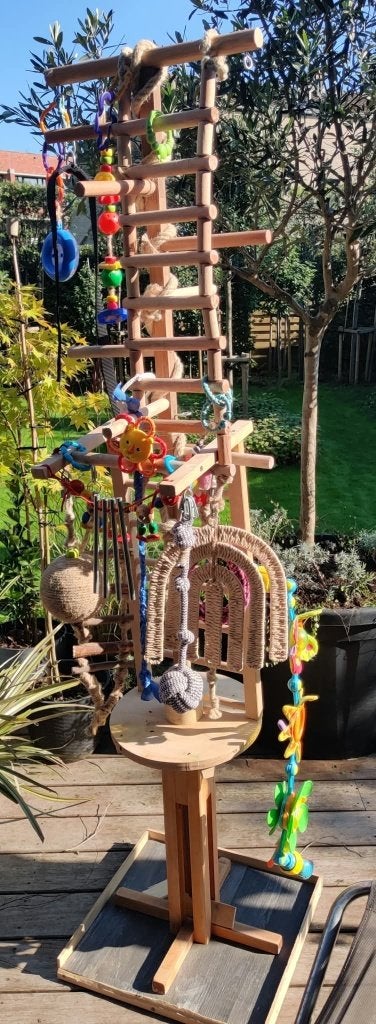 Grote houten speel- en klimstandaard voor vogels, Ophalen, Gebruikt