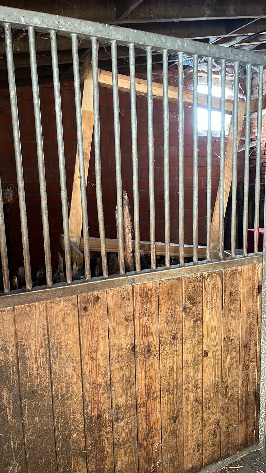 2 stalboxen, Dieren en Toebehoren