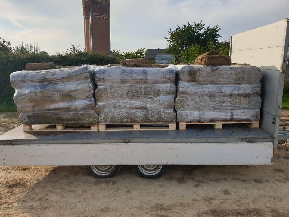 Pelouse , gazon en rouleaux, Ophalen, Nieuw, 20 m² of meer, Gras
