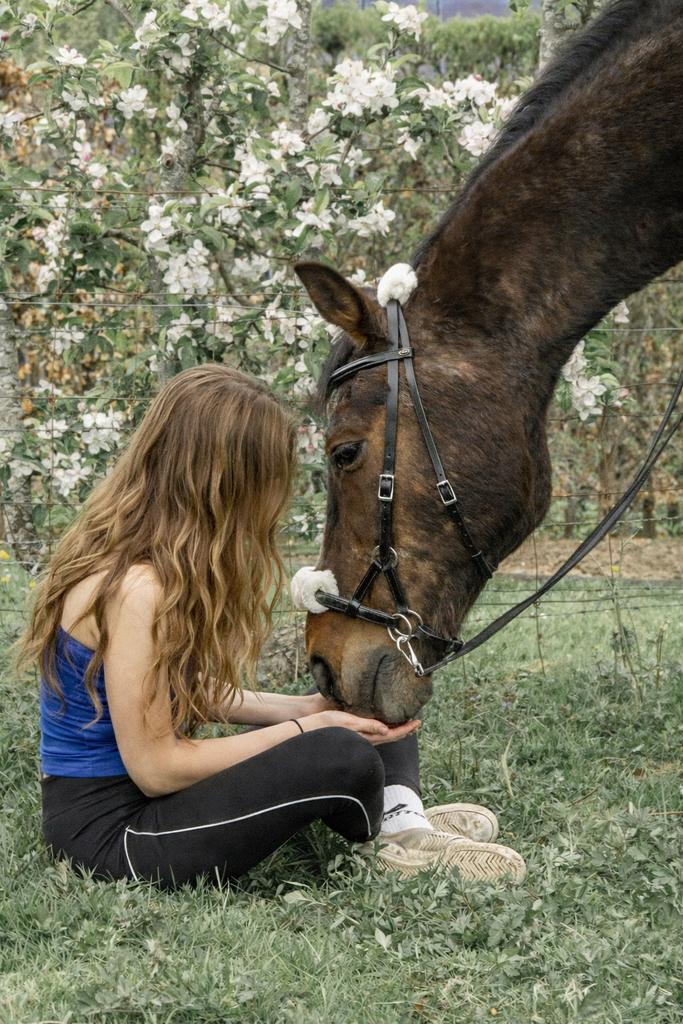 Gezocht, Dieren en Toebehoren, Paarden en Pony's | Verzorgingsproducten, Zo goed als nieuw, Ophalen