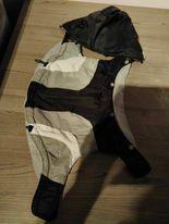hondenjasje, Dieren en Toebehoren, Hondenkleding, Ophalen