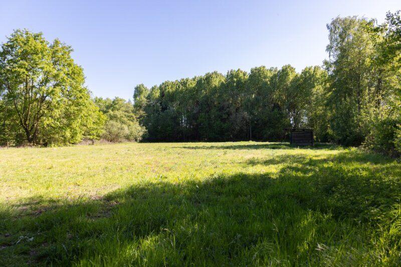 Landbouwgrond (weide) te koop te Laarne, Immo, Laarne, 1500 m² ou plus