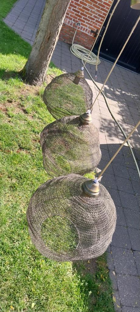Lampenkappen in visnet, Enlèvement