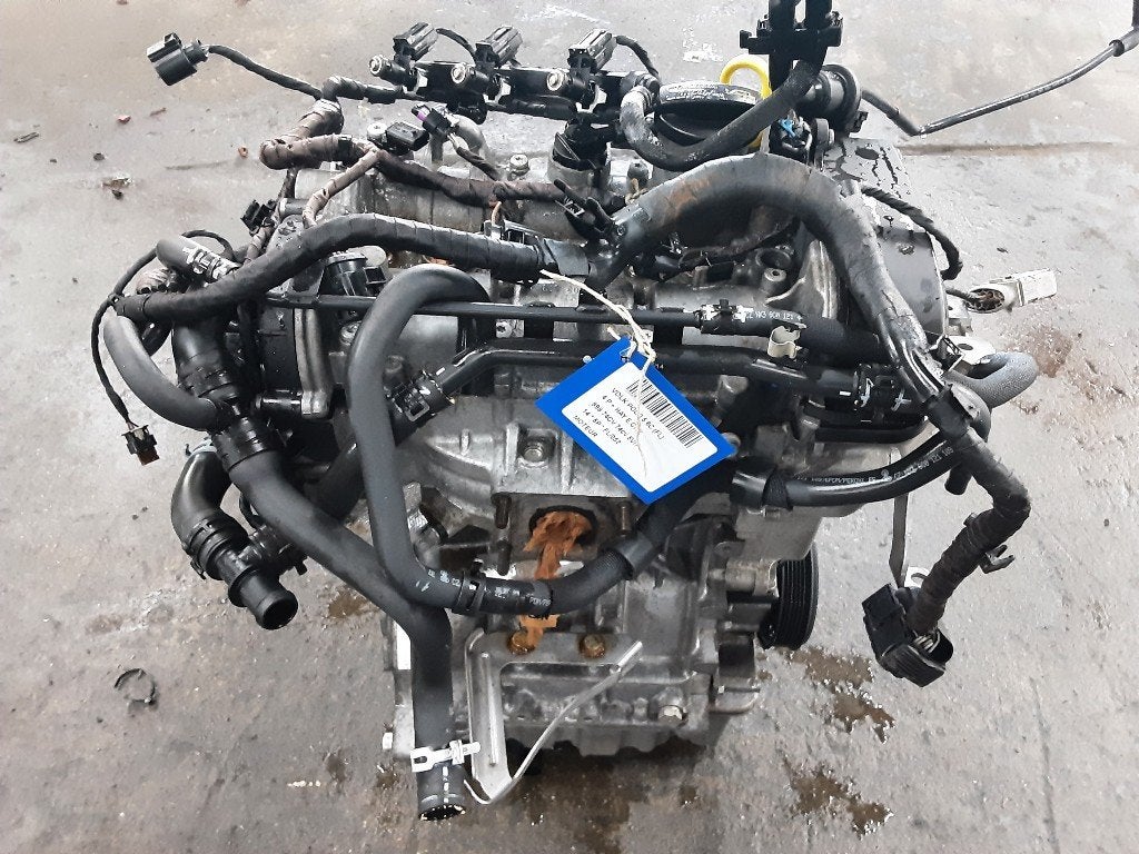 MOTEUR Volkswagen Polo V (6R) (01-2009/05-2022) (CHY), Volkswagen, Mevr. I. Hauben, Utilisé, Rue de l'Espoir 34 34
4030  GRIVEGNÉE, BE