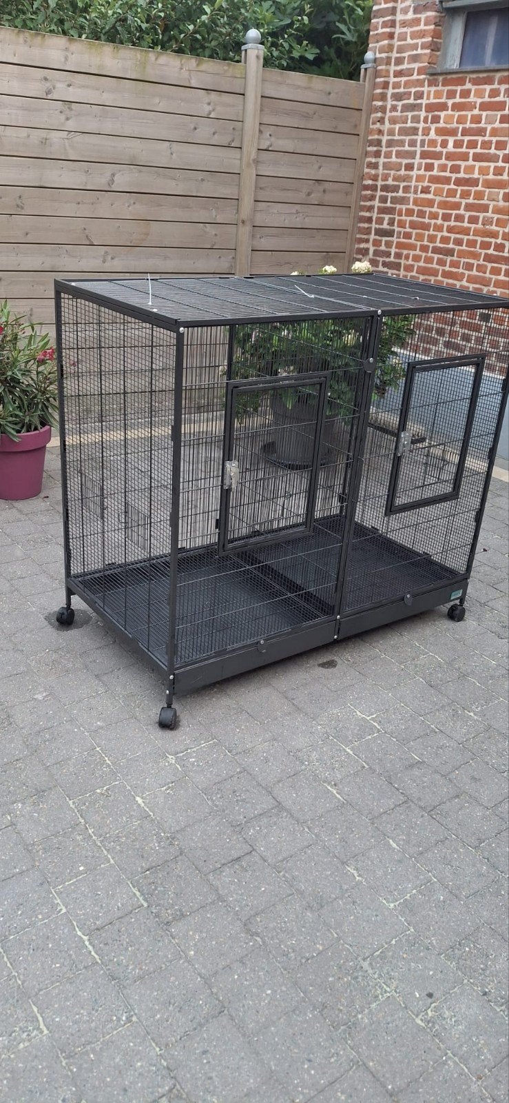 Petit perroquet ou perruches à double cage, Animaux & Accessoires, Enlèvement