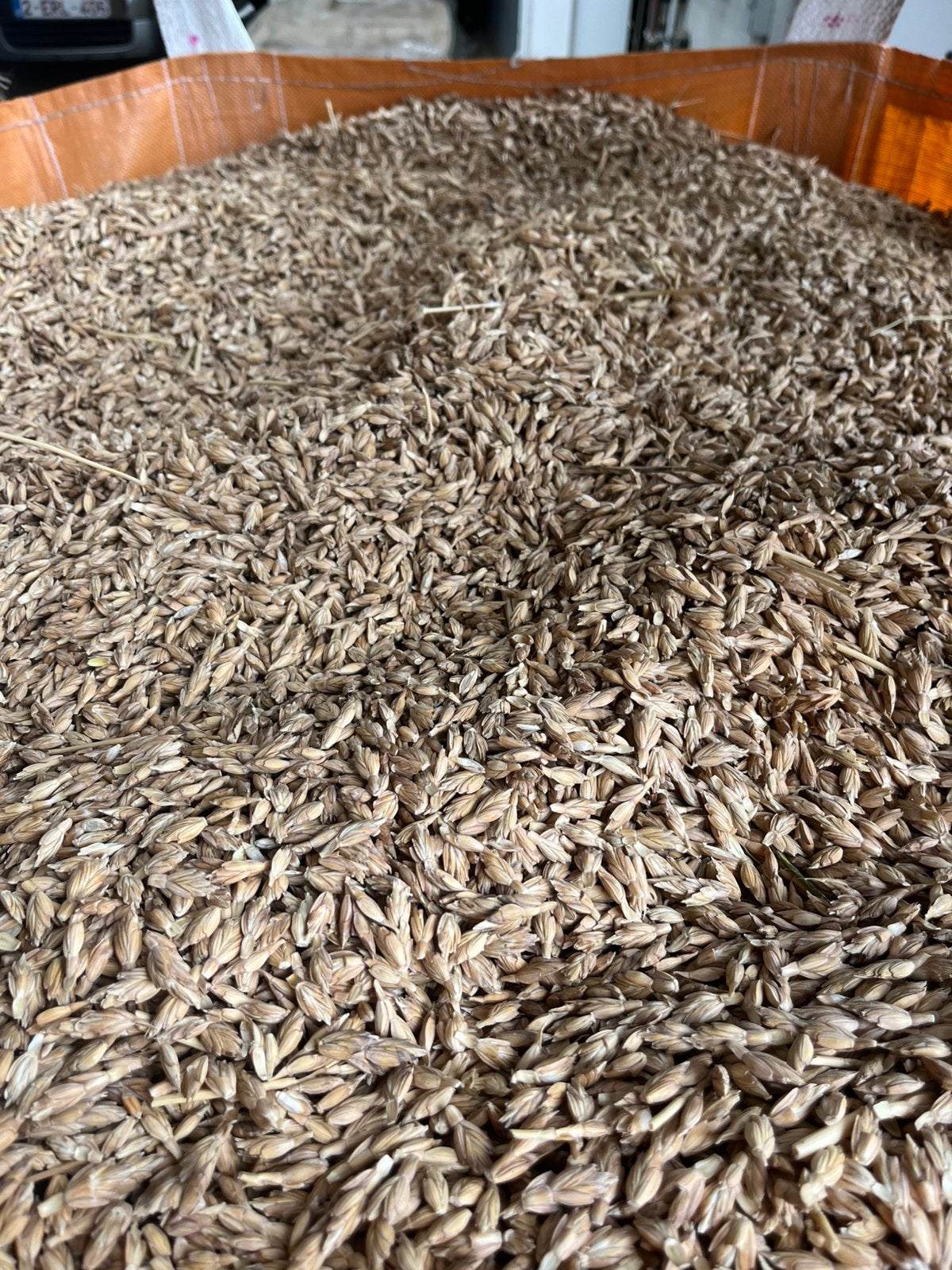 Spelt los in big bags en zaaimachine nodet 3 m, Ophalen