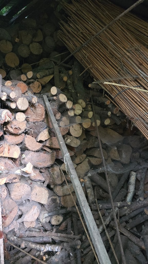 Brandhout, droog, diverse, Tuin en Terras, Brandhout, 6 m³ of meer, Ophalen, Overige houtsoorten, Stammen