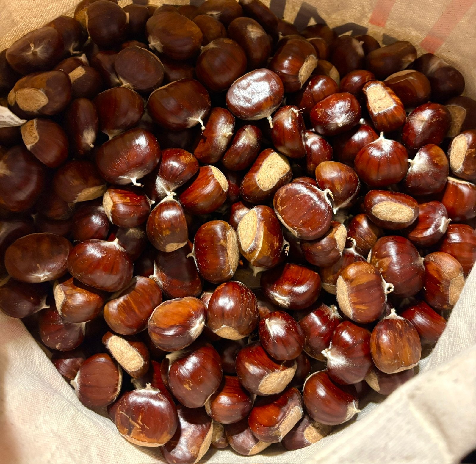 Kastanje van 22kg te koop, 5€ per kilo, Dieren en Toebehoren