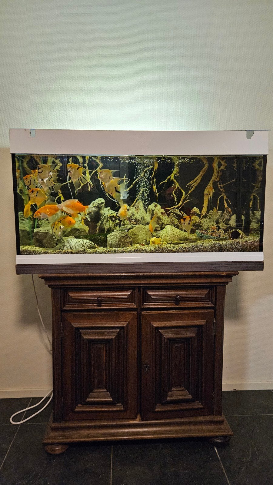 aquarium 1 meter, met vissen., Dieren en Toebehoren, Vissen | Aquaria en Toebehoren, Ophalen, Gebruikt, Gevuld zoetwateraquarium