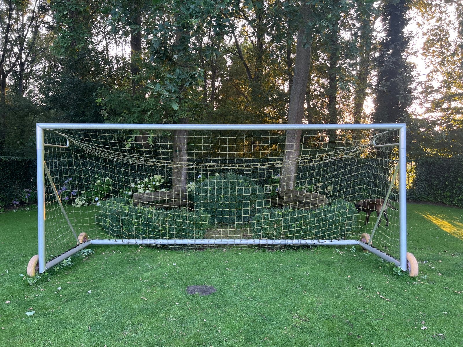 Professioneel Voetbaldoel Calzio Elite 500 Gebruikt, Ophalen, Gebruikt