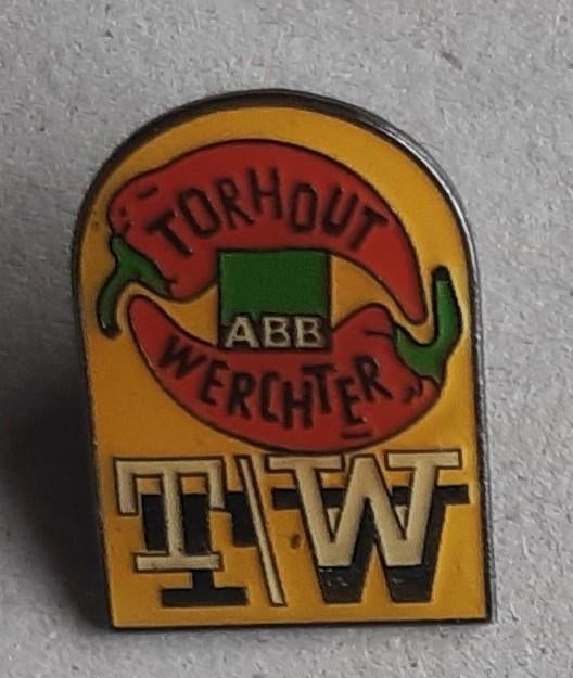 MOOI TORHOUT WERCHTER  TW FESTIVAL PINS, Ophalen of Verzenden