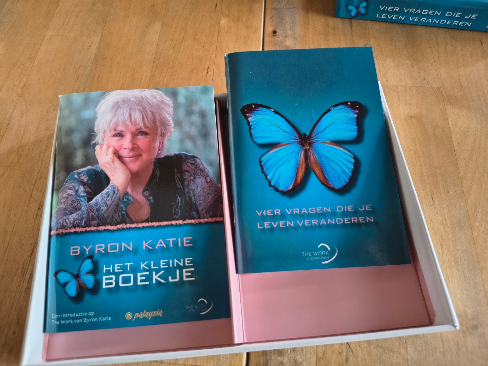 Byron Katie – Vier vragen die je leven veranderen, Boeken, Esoterie en Spiritualiteit, Gelezen, Tarot of Kaarten leggen, Ophalen of Verzenden