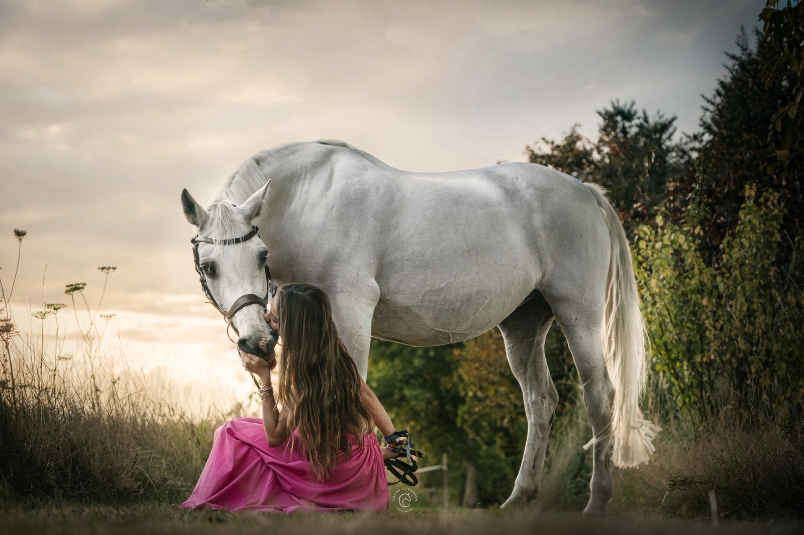 Bijrijder gezocht voor lieve Connemara regio Erpe-Mere, Dieren en Toebehoren, Pony's, Niet van toepassing, 11 jaar of ouder, Recreatiepony