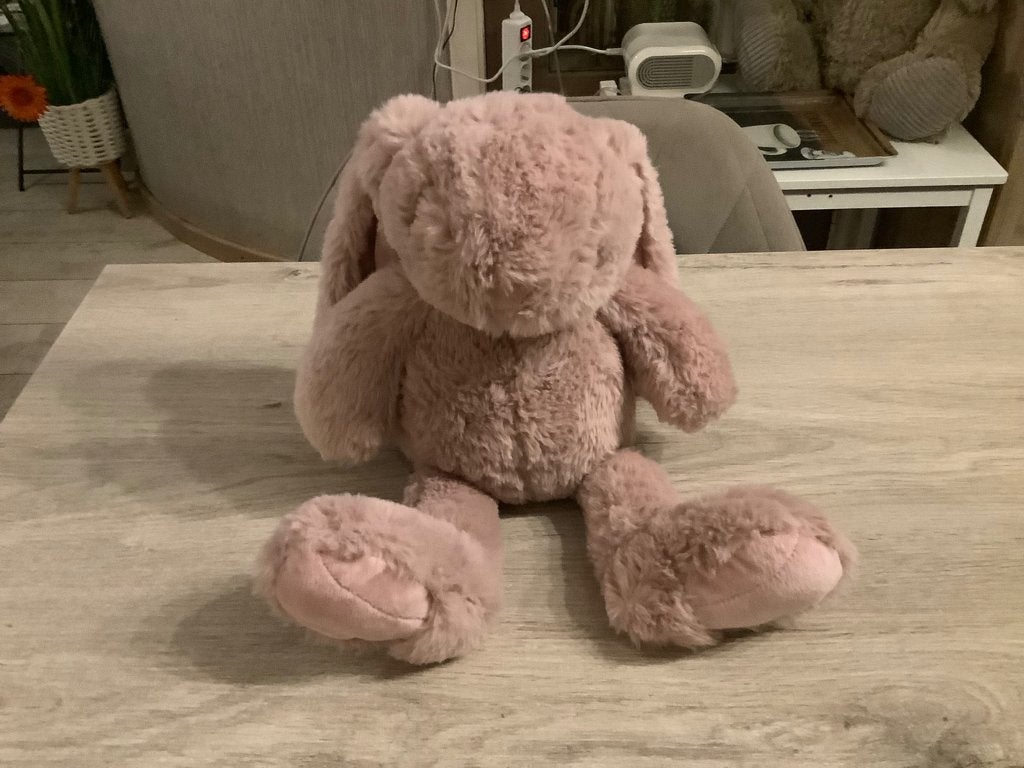 Baby pluche speelgoed konijn (40 cm), Overige merken, Overige karakters, Konijn, Ophalen of Verzenden