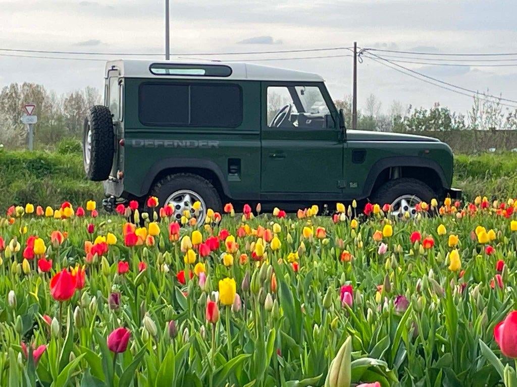 RECHERCHE Land Rover Defender 90 300tdi, Defender, Vierwielaandrijving, Particulier, SUV of Terreinwagen