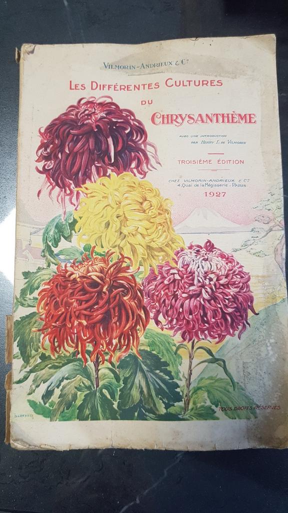 De verschillende culturen van chrysanten 1927, Ophalen of Verzenden