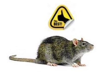 cage à rats - 20, Enlèvement, Neuf