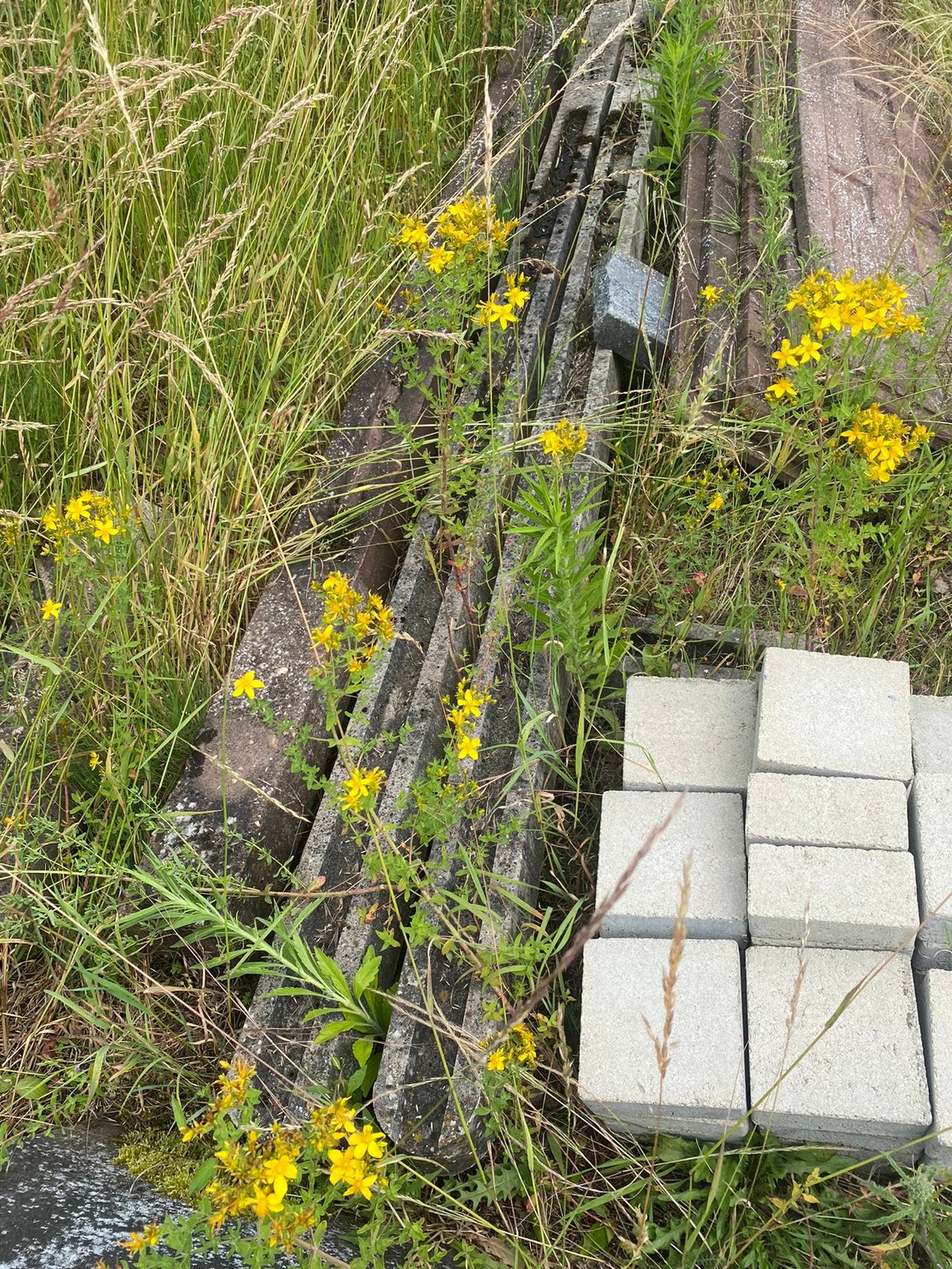 Betonnen palen en tussenstukken voor omheining, Ophalen, Nieuw