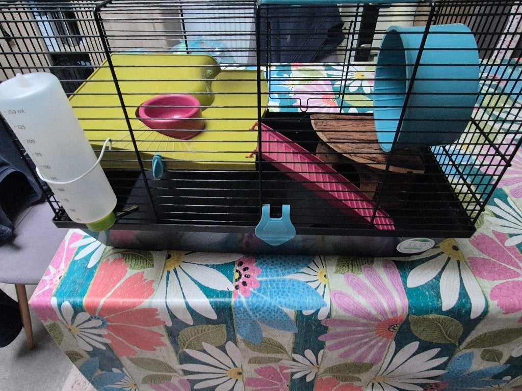 Hamsterkooi 50x28 cm, Gebruikt, Minder dan 75 cm, Ophalen, Minder dan 60 cm