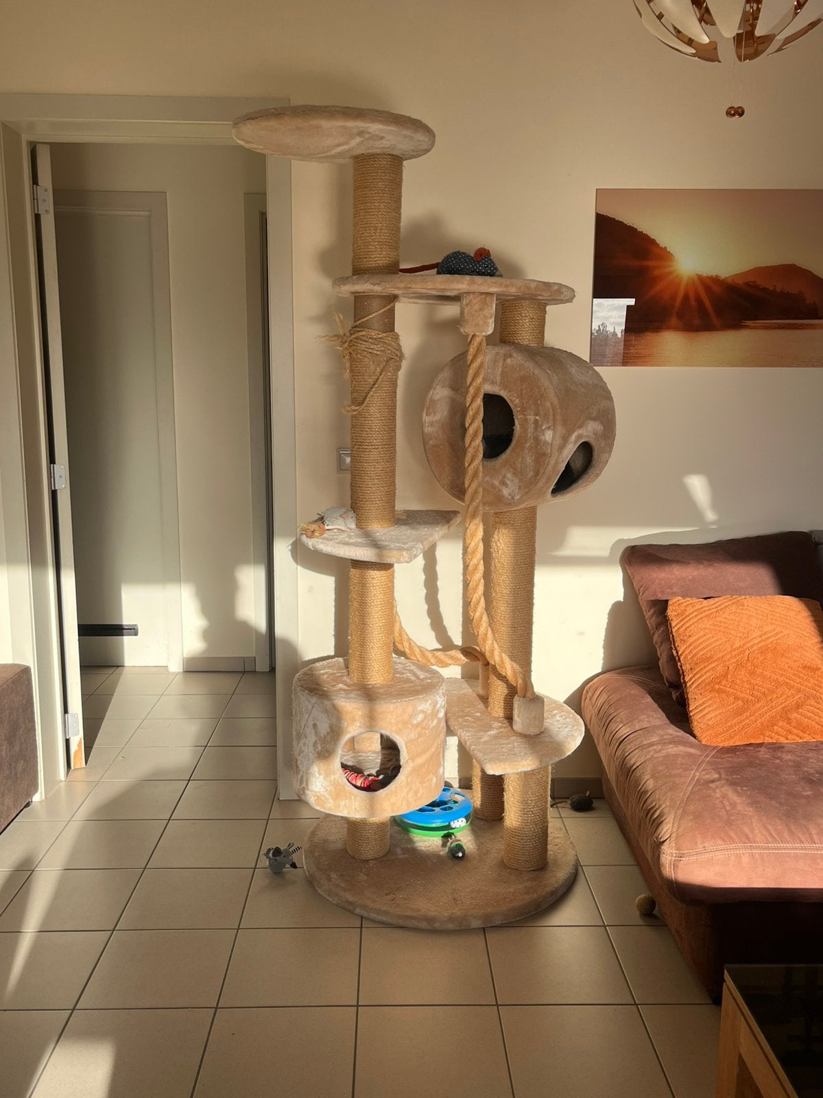 Arbre a chat, Animaux & Accessoires, Enlèvement, Utilisé