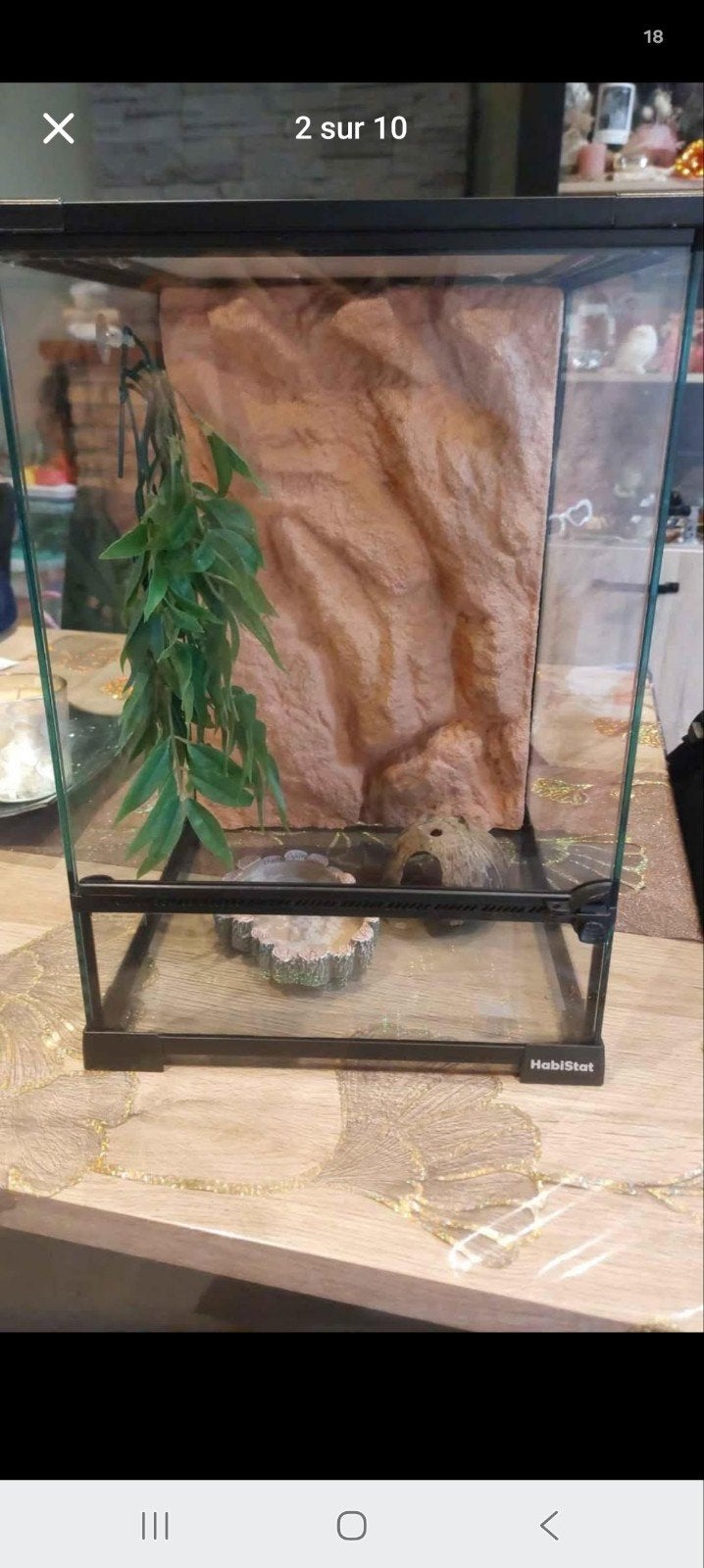 Terrarium HabiStat avec accessoires et thermostat, Animaux & Accessoires, Enlèvement, Comme neuf, Terrarium ou Paludarium