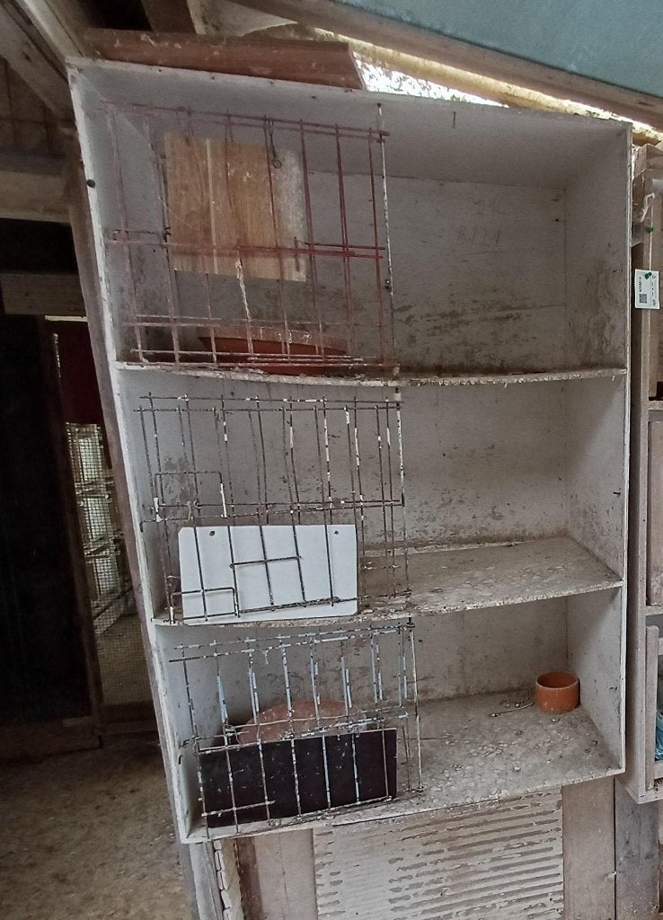 Kweekbak, Enlèvement, Utilisé, Bois, Cage d'élevage