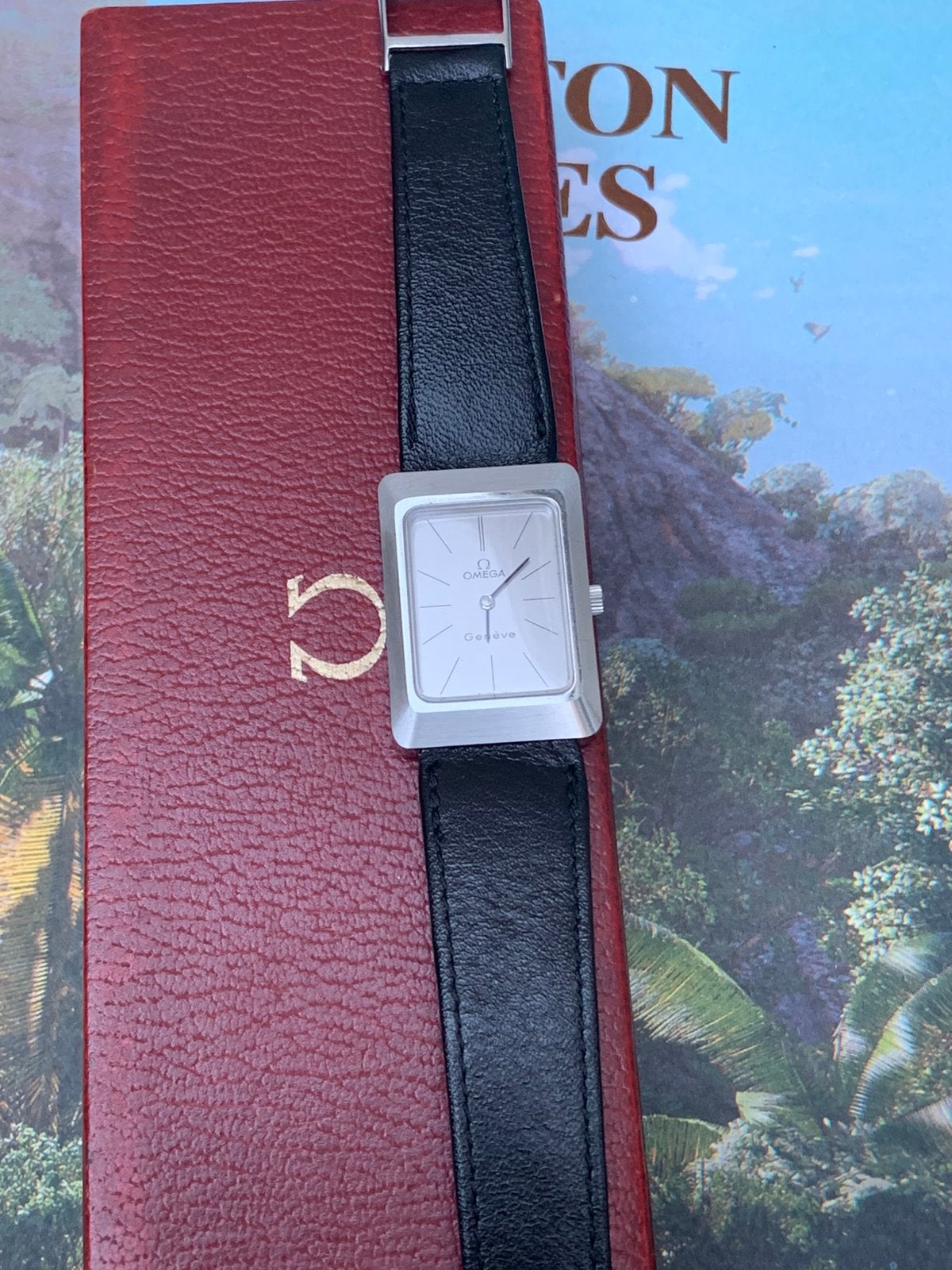 Omega Geneve Vintage (1974)  et complet, Bijoux, Sacs & Beauté, Montres | Hommes, Comme neuf, Omega, Acier, Enlèvement ou Envoi