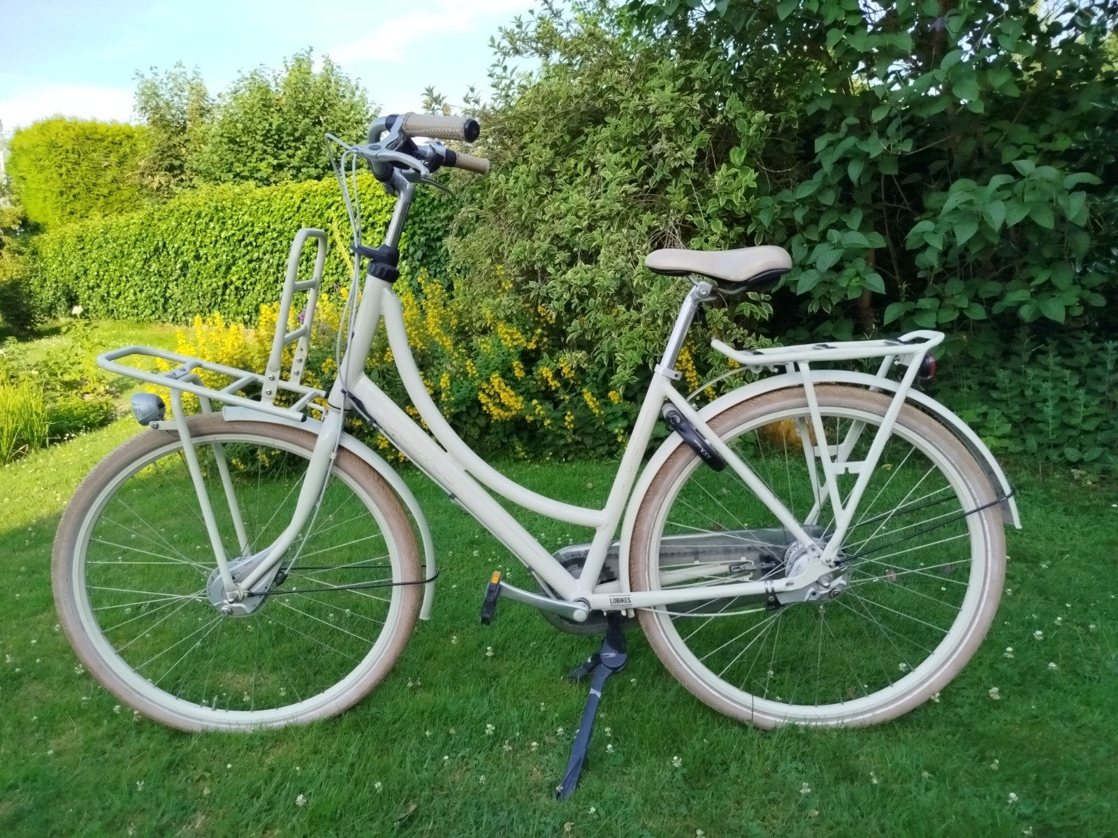 Damesfiets Batavius met bagagedrager vooraan, Ophalen