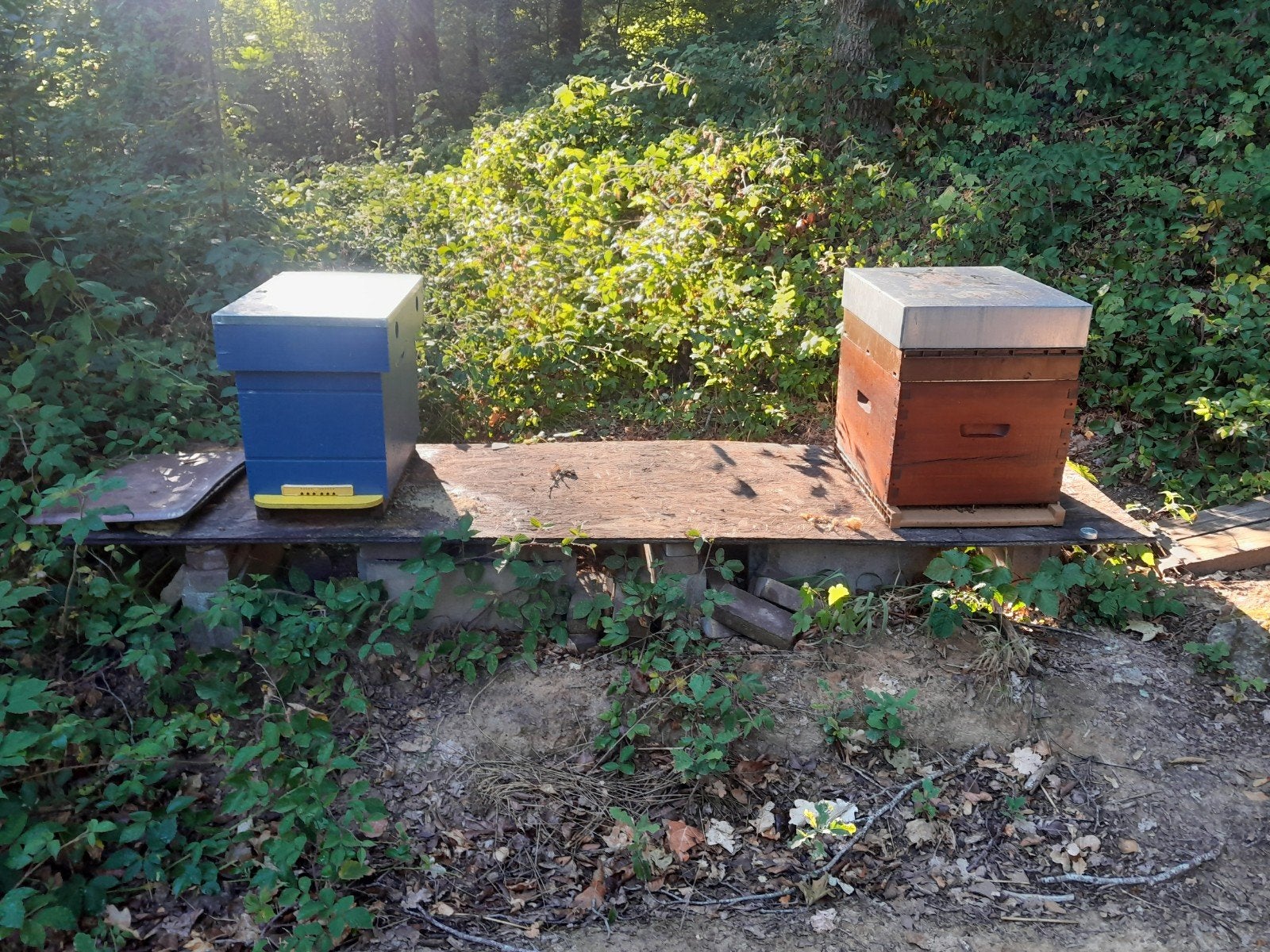 Équipement d'apiculture à vendre, Autre