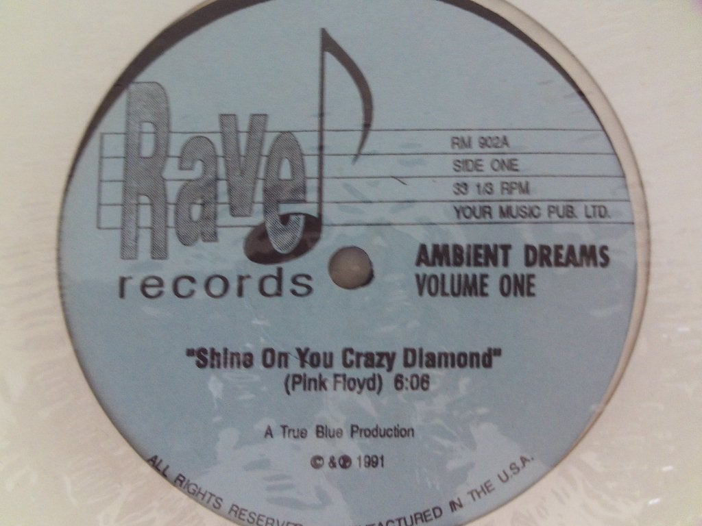 Divers — Des rêves ambiants brillent sur votre diamant fou, CD & DVD, Vinyles | Dance & House, House, Enlèvement ou Envoi, Comme neuf