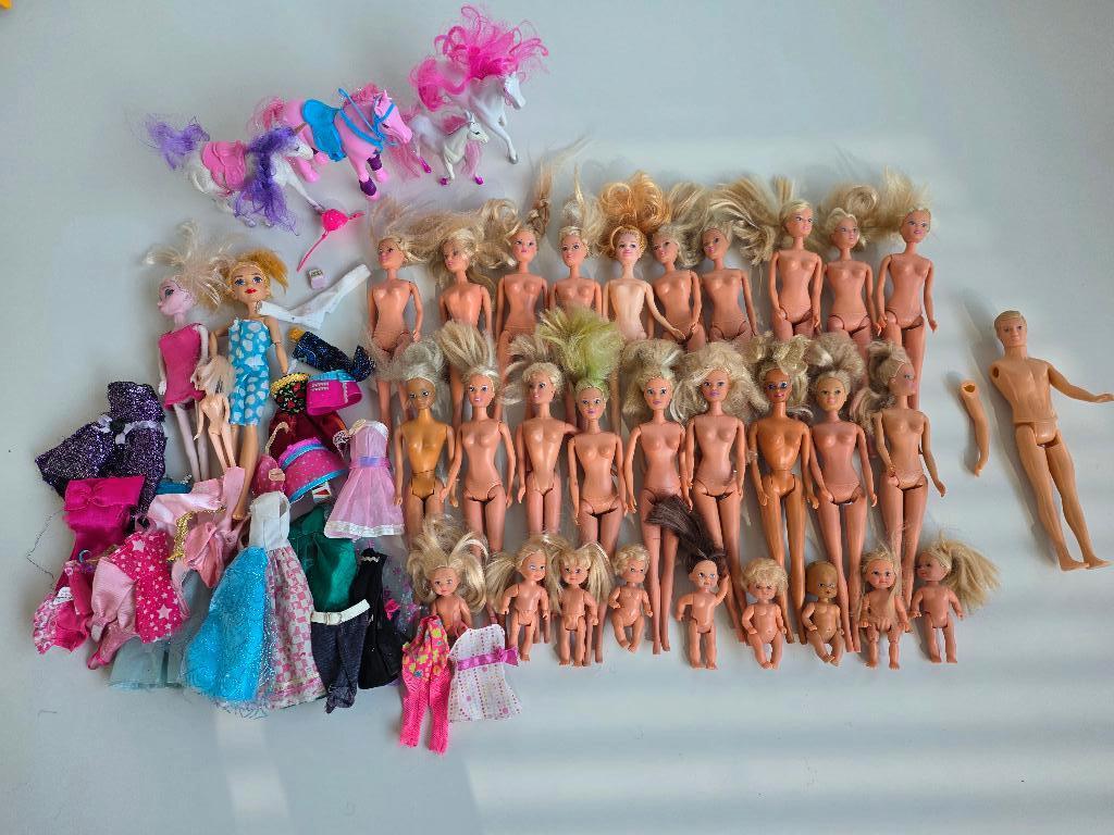 Groot pakket Barbie (32 poppen en 4 paarden), Enlèvement, Utilisé, Barbie