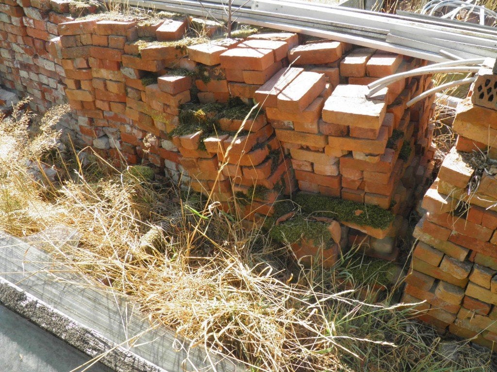 Groot lot, rode baksteen., Doe-het-zelf en Bouw, Metselstenen, Ophalen, Zo goed als nieuw, Bakstenen