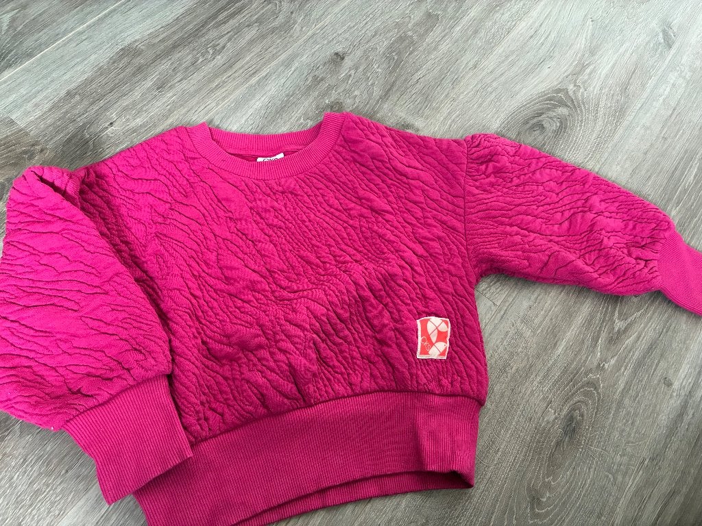 Fushia roze trui CKS maat 6 (116), Kinderen en Baby's, Ophalen of Verzenden, Gebruikt, Meisje, Trui of Vest