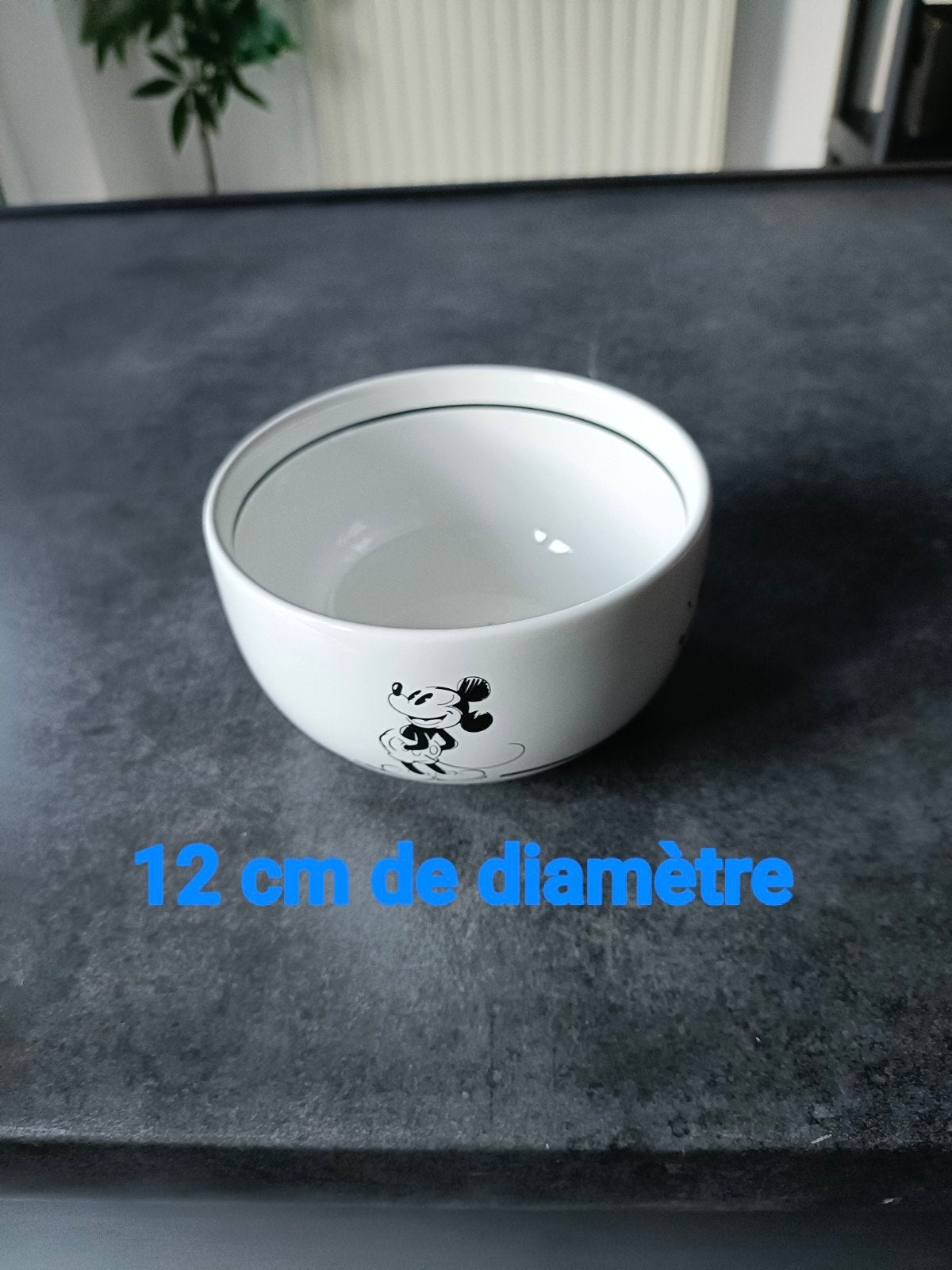 Lot de 2 bols, originaires de Disneyland Paris.
Elles, Huis en Inrichting, Ophalen