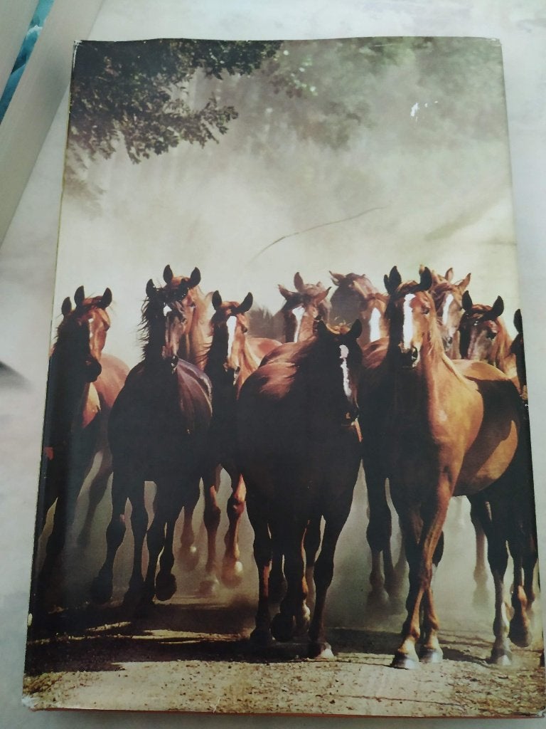 mooi dik boek zo goed als nieuw alles over onze paarden, Ophalen of Verzenden