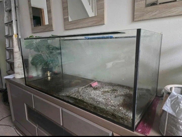 aquarium et accessoires