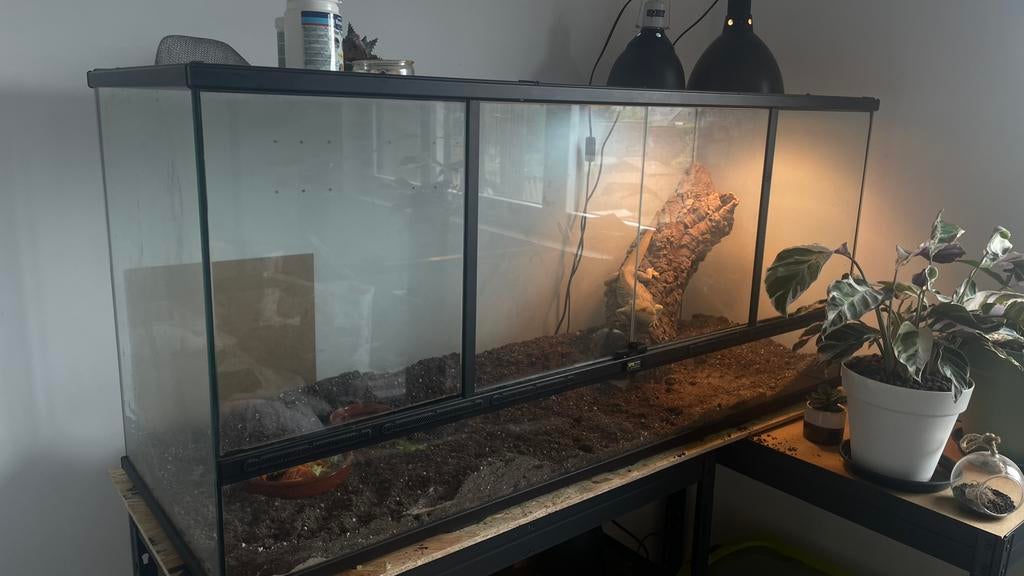 Terrarium, Dieren en Toebehoren, Ophalen, Zo goed als nieuw