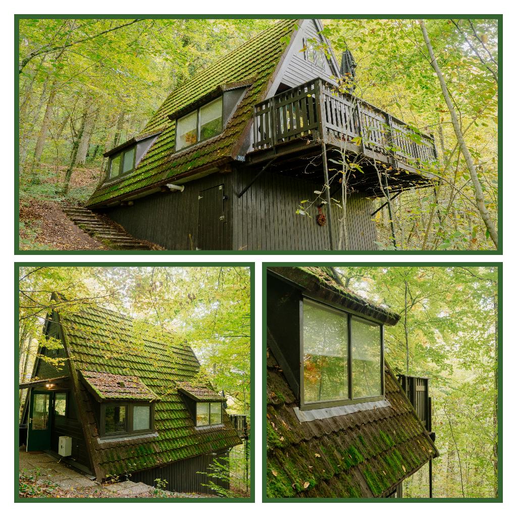 Ardennen te huur-Chalet Petit Durbuy-5p+baby, Vakantie, 5 personen, 2 slaapkamers, Recreatiepark, In bos