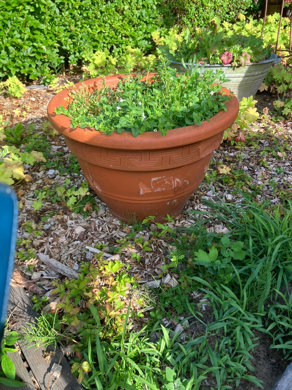 Bloempot, Tuin en Terras, Ophalen, Steen, Gebruikt, Minder dan 60 cm