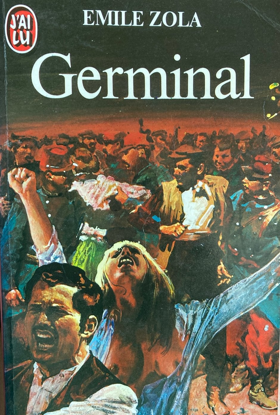 Emile zola germinal, Livres, Enlèvement ou Envoi, Comme neuf