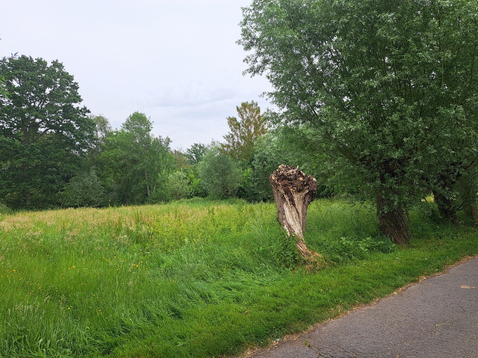 Weide te huur in Sinaai, Dieren en Toebehoren