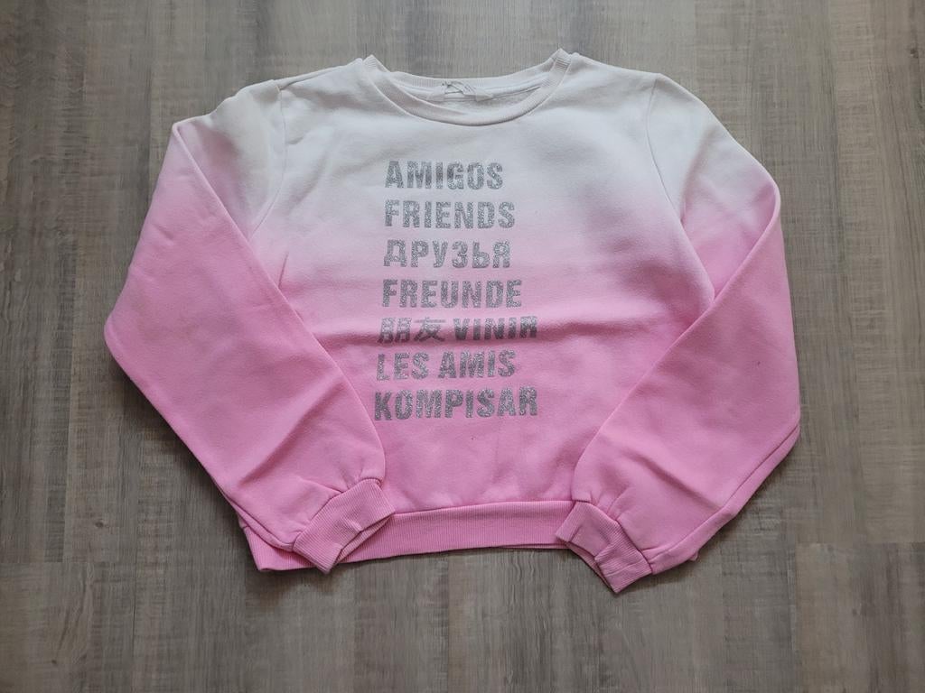 Trui / sweater grijs H&M maat 146 / 152, Ophalen of Verzenden, Zo goed als nieuw