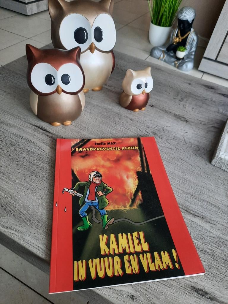 Strip Kamiel in vuur en vlam, Boeken, Stripverhalen, Ophalen of Verzenden