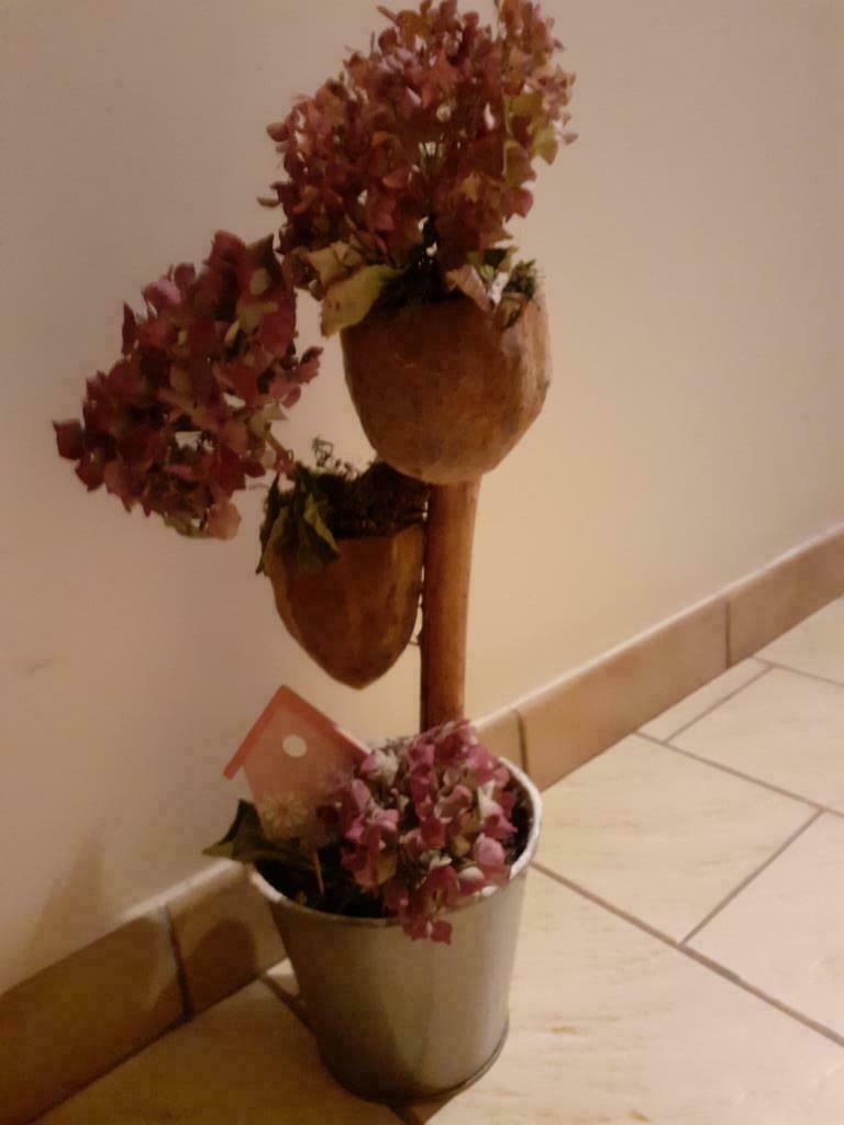 hortensias séchés à la noix de coco, Enlèvement, Autres espèces, En pot, Moins de 100 cm
