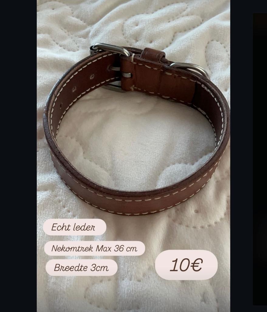 Mooie brede lederen halsband nieuw hond 10€, Ophalen of Verzenden, Nieuw